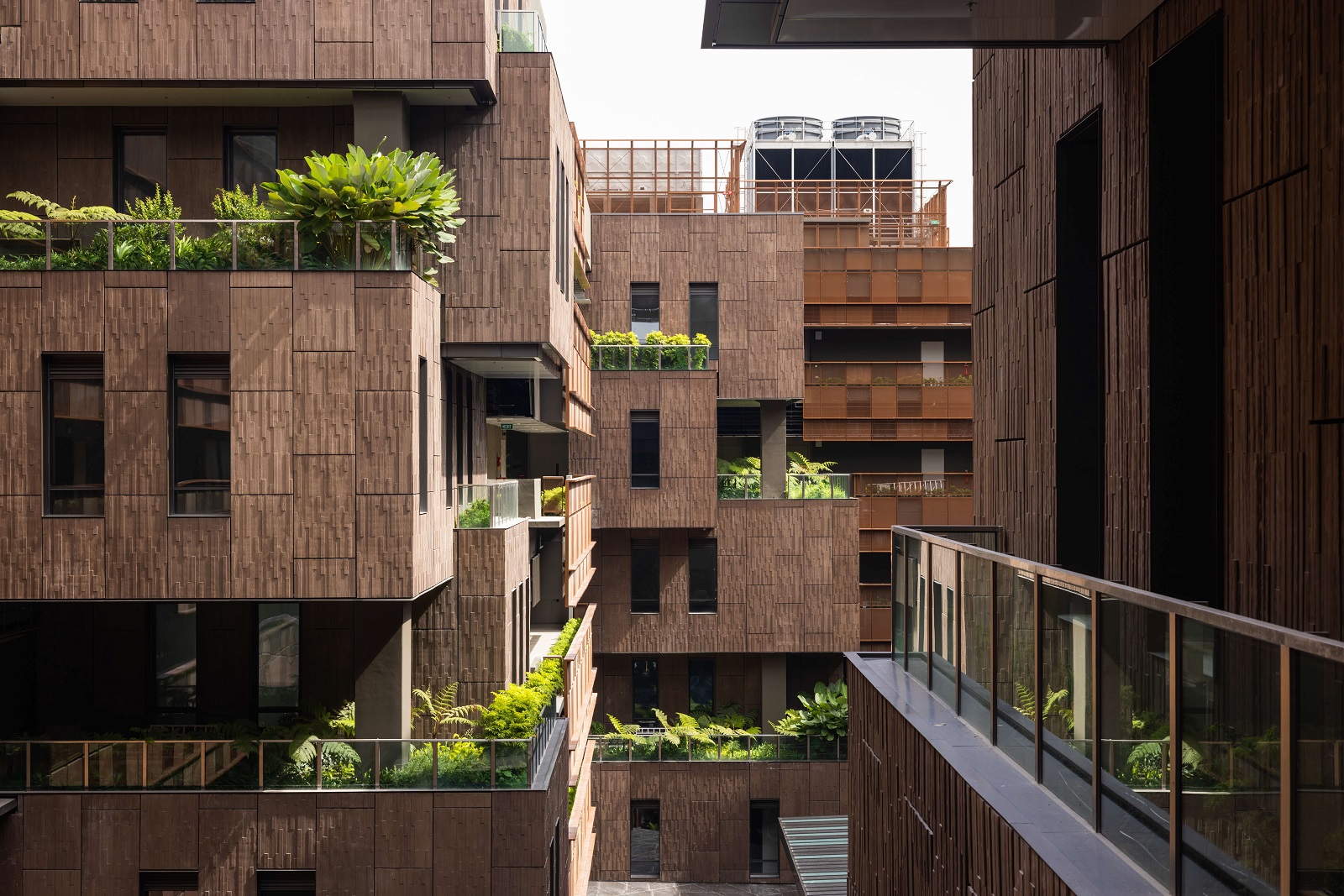 The staggered floors at JTC CleanTech Three not only look aesthetically pleasing, but also create spaces for small gardens, adding depth to the overall building complex