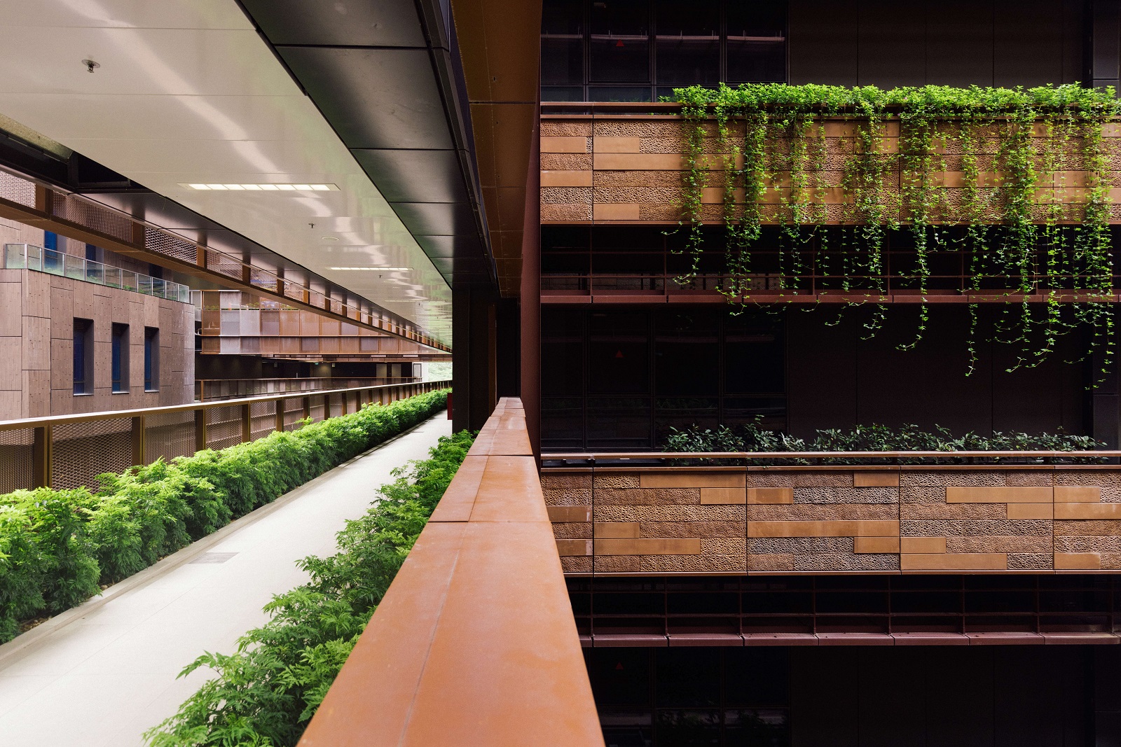 Whether it's the corridors or the windows at JTC CleanTech Three, there are plants everywhere, allowing people to encounter greenery at every turn. 